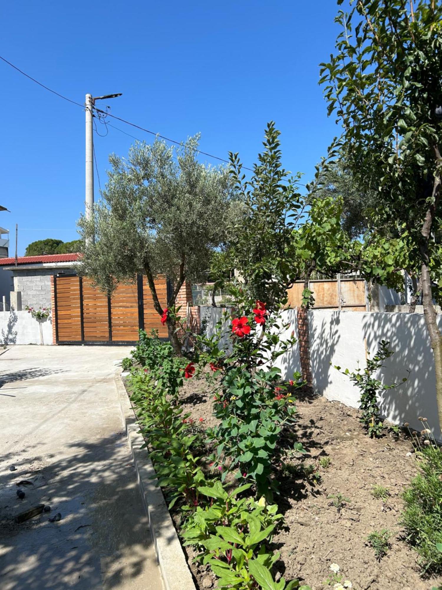 Vila Roan Vlorë Exteriér fotografie